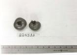 Click for 1 image(s) for this accession. FRUIT